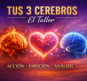 Taller de los tres cerebros