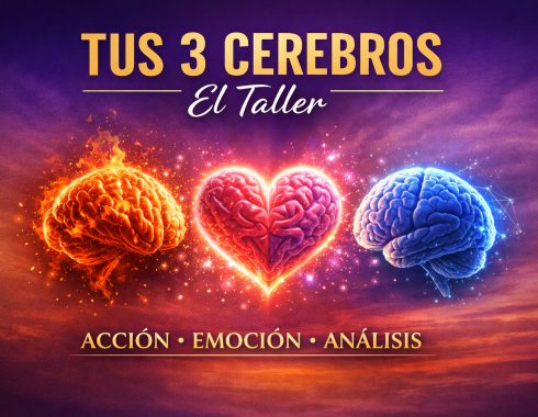 Taller de los tres cerebros
