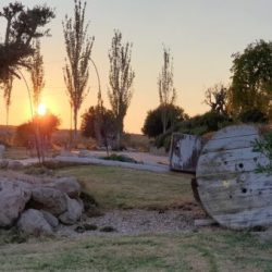 jardines-puestasol-thegem-portfolio-masonry-fullwidth-4x
